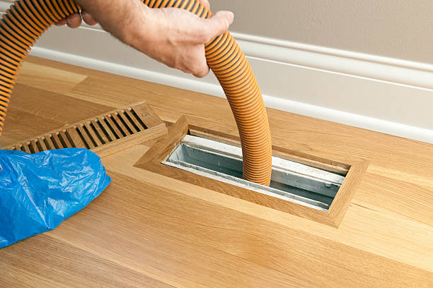 Best Residential Air Duct Cleaning  in Mountain View, HI