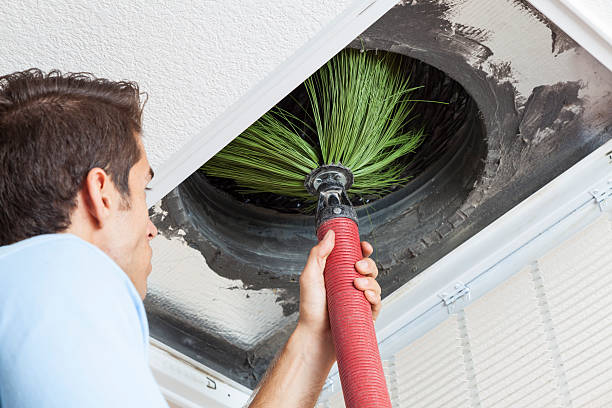 Best Affordable HVAC Duct Cleaning  in Mountain View, HI